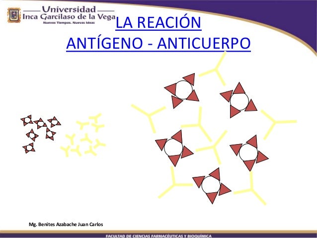 antigeno anticuerpo